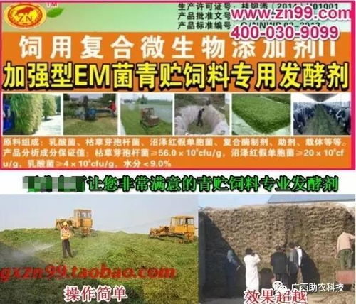 赤牛联盟，重塑未来农业生态的跨界合作