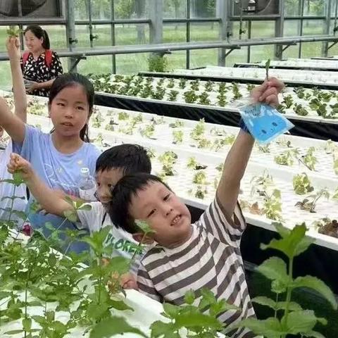 很好数据，解锁大数据时代的无限可能