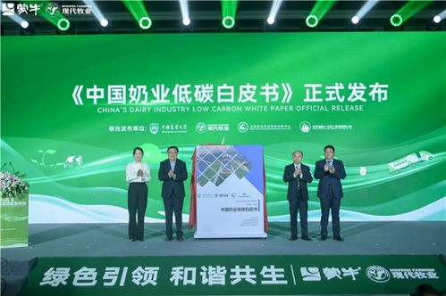 泰兴联盟，重塑数字经济新生态，引领产业转型升级新篇章