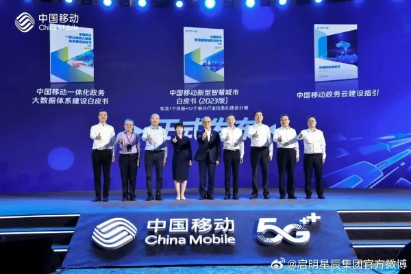 星联移动联盟，重塑未来通信的宏伟蓝图