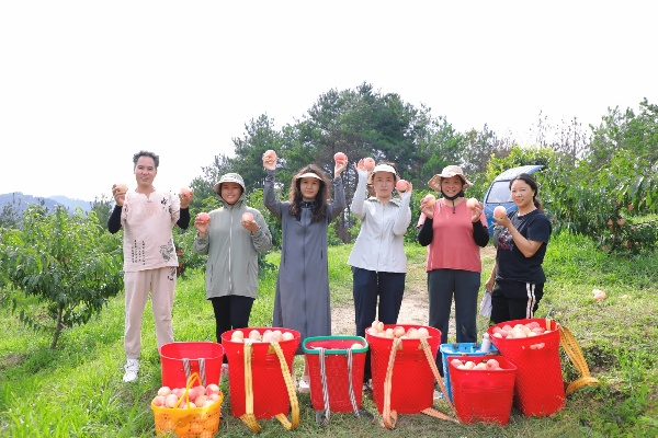 水蜜桃联盟，共筑甜蜜事业，共享丰收喜悦