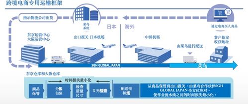 163广告联盟，精准营销，助力企业高效拓展市场