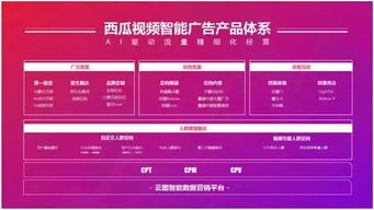 日付广告联盟，精准营销，助力企业高效增长