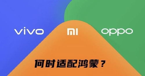 百度联盟，携手共创数字生态新纪元