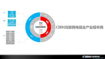 奇虎联盟，重塑互联网安全生态的先锋力量