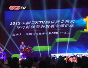 游乐广告联盟，打造多元化娱乐体验，引领未来广告新风尚