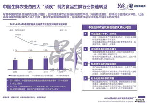 网商管家，重塑电商管理新生态，引领数字时代商业变革
