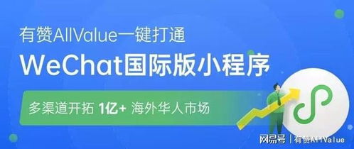 163广告联盟，精准营销，助力企业高效触达目标用户