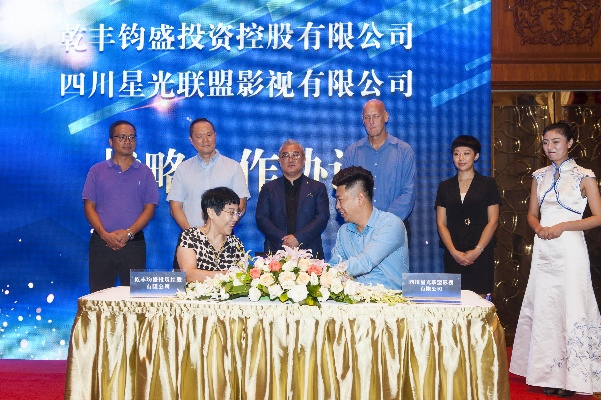 蓝光联盟，重塑数字娱乐新生态的先锋力量