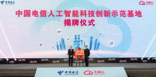 114联盟，携手并进，共创数字时代新篇章