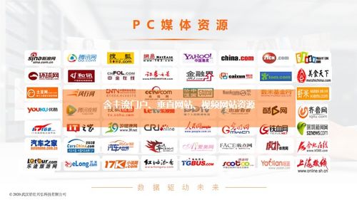 揭秘cpm广告联盟，如何精准投放广告，实现高效营销？