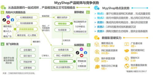 阿里联盟，重塑电商生态，引领数字商业新纪元