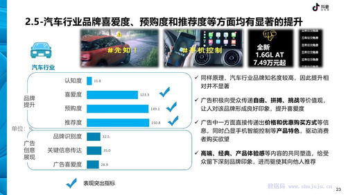 椰子广告联盟，打造数字营销新生态，引领品牌新风尚