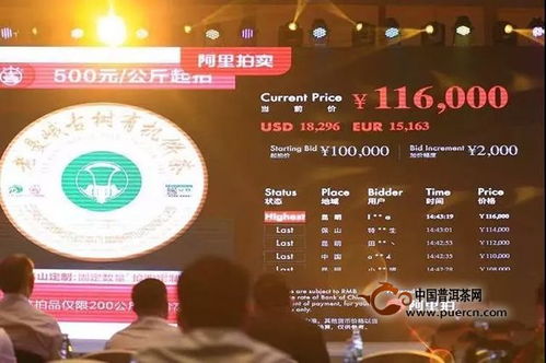 猫扑联盟，重塑宠物社交新生态