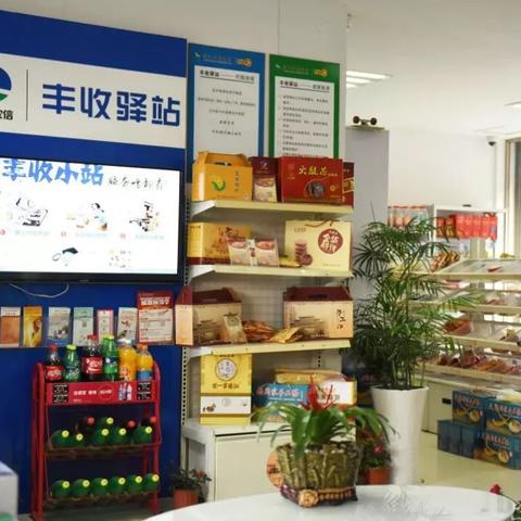 网络114推广联盟，打造数字时代下的品牌新生态