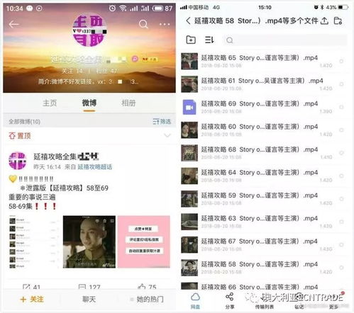 揭秘贼铁网盟，网络盗窃背后的黑色产业链