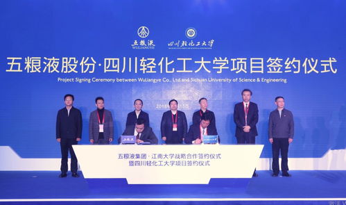 重塑全球价值链，顶峰联盟引领合作新纪元