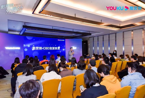 探索网站联盟，构建共赢生态，重塑数字营销新纪元