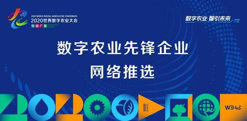 9V广告联盟，重塑数字营销新生态的先锋力量