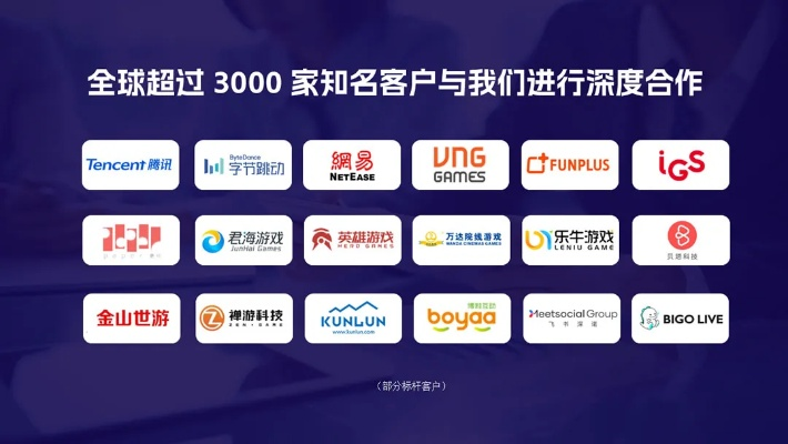 双亿广告联盟，重塑数字营销新生态的领航者