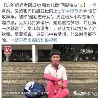 揭秘X档案CPA联盟，会计行业的隐秘力量与合规挑战