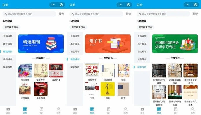 电子书网站联盟，重塑阅读生态，开启数字时代知识共享新篇章