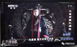 粉色联盟，探索女性力量的崛起与团结