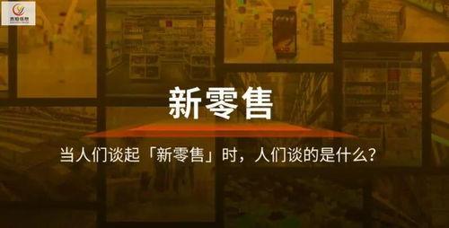 Vjia网站联盟，打造高效网络营销的桥梁