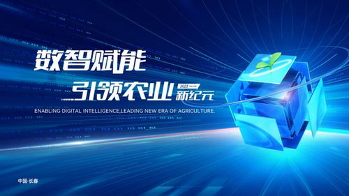 永乐谷广告联盟，打造高效广告生态，引领数字营销新风尚