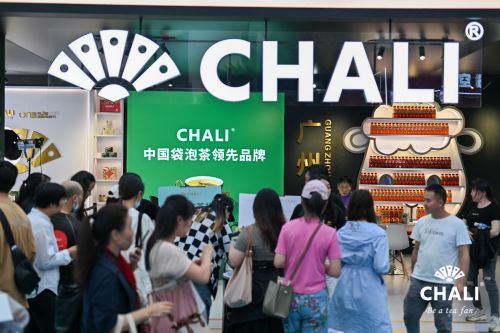 齐齐乐淘网联盟，打造多元化购物体验，引领电商新风尚