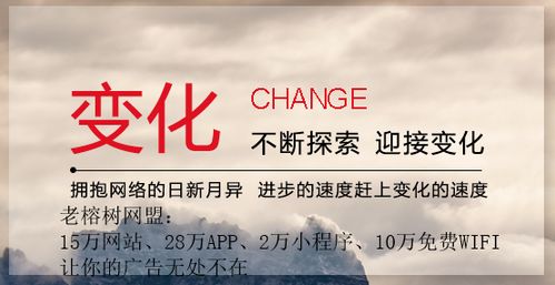 老榕树广告联盟，携手共赢，共创数字营销新篇章
