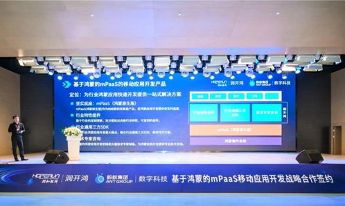 芬桃联盟，重塑数字时代的创意与协作新生态