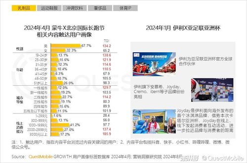 功夫CPA广告联盟，解锁高效营销与盈利的武林秘籍