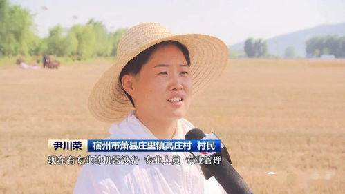 亿路发广告联盟，打造高效广告推广，助力企业飞速成长