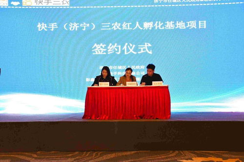 656交友联盟，跨越数字鸿沟，构建真实社交新生态