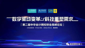 峰盟网络，重塑数字时代的合作与共赢