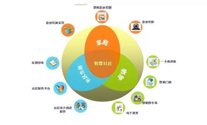 探索版主联盟，构建网络社区的基石与力量