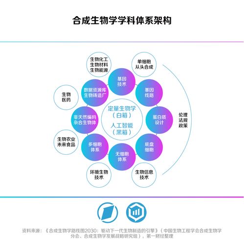 大宇智慧联盟，重塑未来教育的蓝图