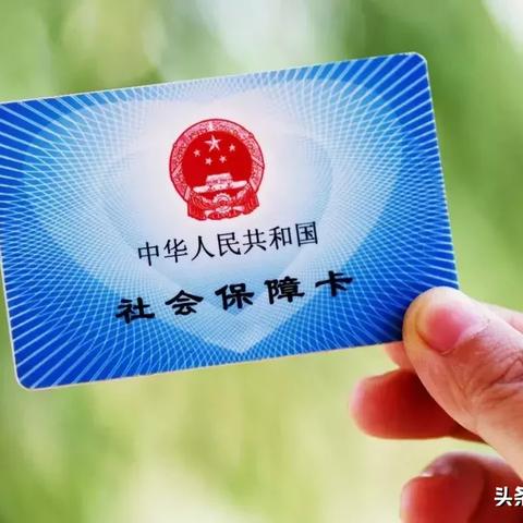 泰禾广告联盟，重塑数字营销新生态的领航者
