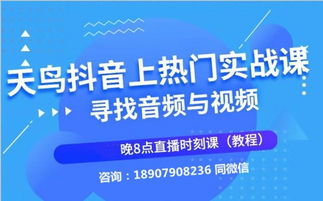 一品广告联盟，打造高效精准广告投放的秘诀