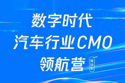 稻客啦广告联盟，打造精准营销，引领数字时代广告新风尚