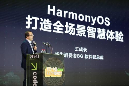 站长联盟，构建共赢生态，携手共创互联网新纪元