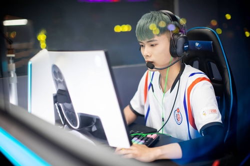 神Q联盟，探索宇宙奥秘，携手共筑未来