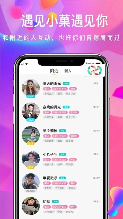 夜缘交友联盟，探索虚拟社交的新纪元