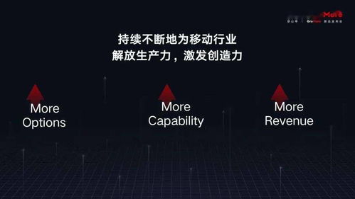 黑狐广告联盟，揭秘互联网广告行业的隐形巨头