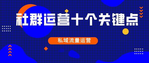 维度广告联盟，重塑数字营销新生态的跨界力量