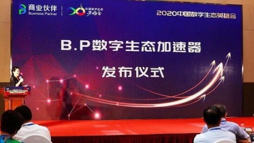 中华广告联盟，重塑数字营销生态，引领品牌新纪元