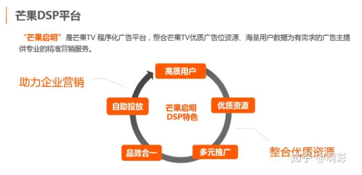 菠萝广告联盟，打造高效广告生态，引领数字营销新风尚