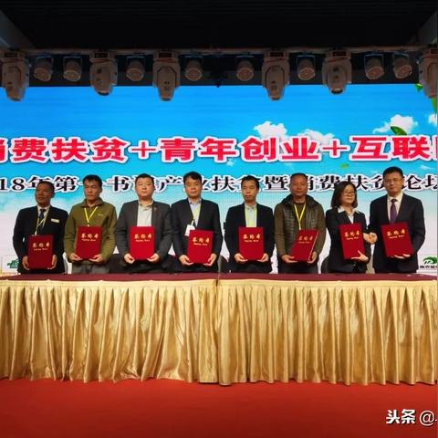 11平台联盟，重塑电商格局，引领数字消费新时代