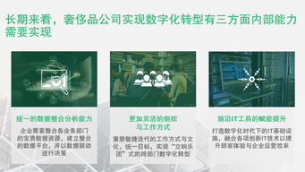 黑豆传媒，重塑数字营销新生态的先锋力量